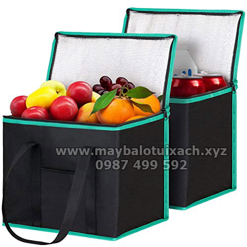 Túi giữ nhiệt giao hoa quả